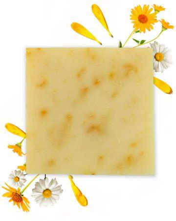 BIO SAPONE CAMOMILLA E CALENDULA 100 GR Fratelli Amoretti Di Lorenzo