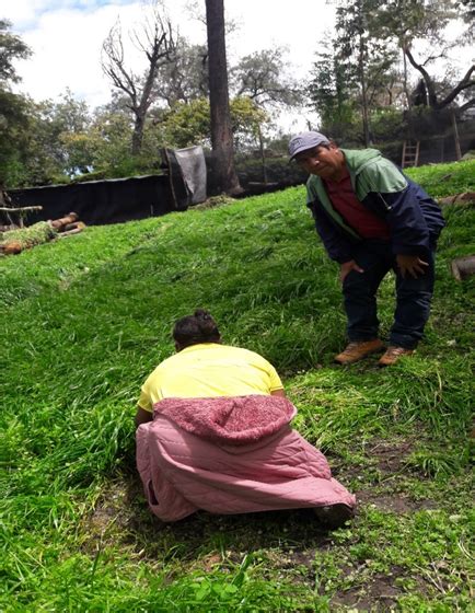 Proyecto Productivos En Iguain Huanta Ayacucho Muestra Avances Del