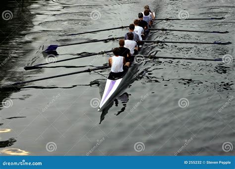 Rowing Team Stock Photo Image Of Competition Together 255232