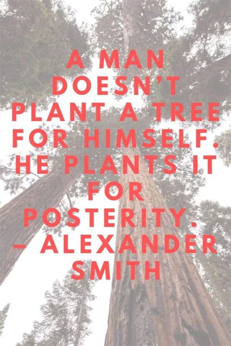 Plantation03: Tree Plantation Quotes / Quotes On Tree Plantation ...