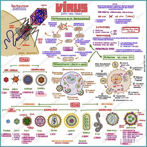 Lección 14 2 Formas acelulares BIOLOCUS