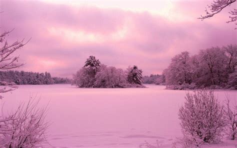 Pink Winter Wallpapers Top Free Pink Winter Backgrounds Wallpaperaccess