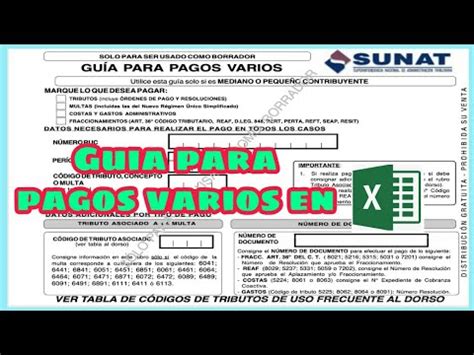 Gu A De Pagos Varios Sunat Para Llenar En Exel Impuestos Pdt