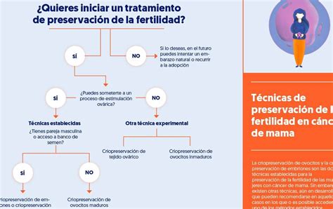 ¿cuáles Son Las Diferencias Entre Fiv Y Icsi Una Guía Seo Para