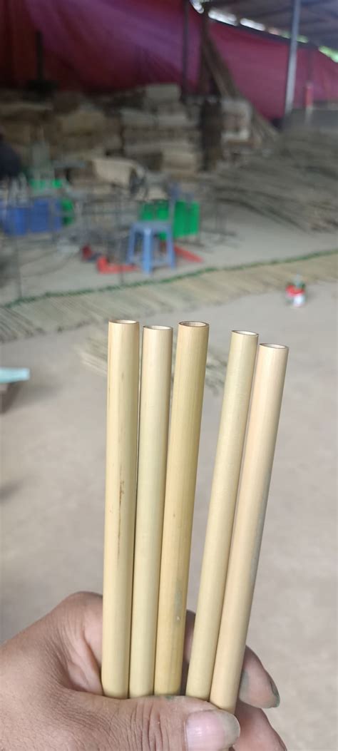 Biodegradable Reusable Bamboo Drinking Straws Customize Logo Cheapest