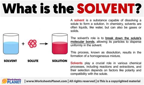 What Is The Solvent