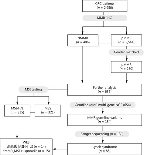Lynch Syndrome Lynch Syndrome Online Training For Primary Care