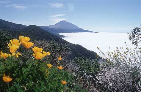 Mit Der Seilbahn Auf Den Teide Insel Teneriffa