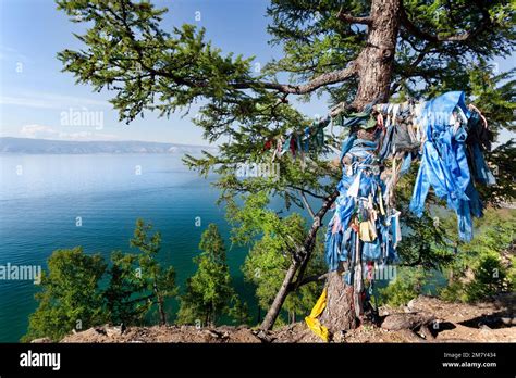 Shamanic Tree With The Bottom Of Lake Baikal Stock Photo Alamy