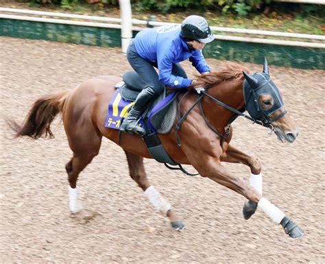 【川崎記念】テーオーケインズ 雪の影響で坂路追いも51秒2―12秒1の好調教 高柳大師「久々の坂路追いも動きはよかった」 スポーツ報知