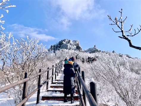 무주 덕유산 아름다운 겨울 눈꽃산행 두피디아 여행기