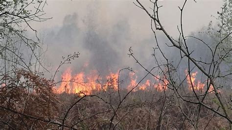 Incendi boschivi revocato lo stato di massima pericolosità Newsbiella it