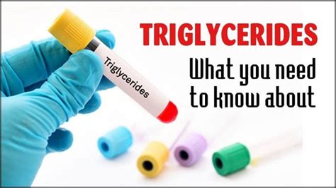 High Triglyceride Levels Definition Warning Signs And Measures Scope Heal