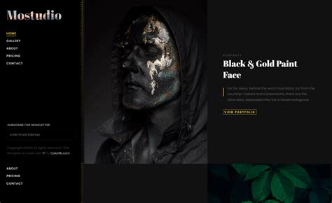 Dark Colored Responsive Website Template | ThemeWagon