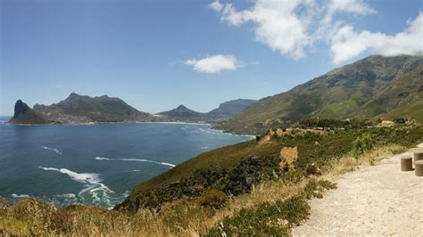 Cape Town Kayaking Unforgettable Adventures