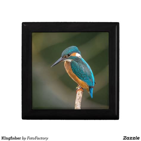 Kingfisher Keepsake Box Keepsake Boxes Kingfisher