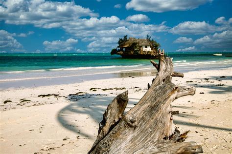 Driftwood & the Rock Restaurant Dongwe Zanzibar, Tanzania