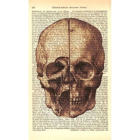 Skull by Leonardo Da Vinci Dictionary Print Literary Gifts - Etsy