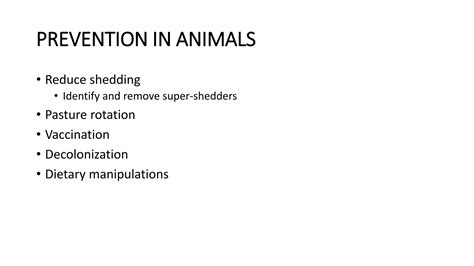 Enterohemorrhagic Escherichia Coli Infections Ppt