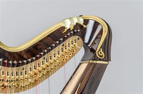 Victor Salvi Signature - Salvi Harps - Pedal Harps & Lever Harps