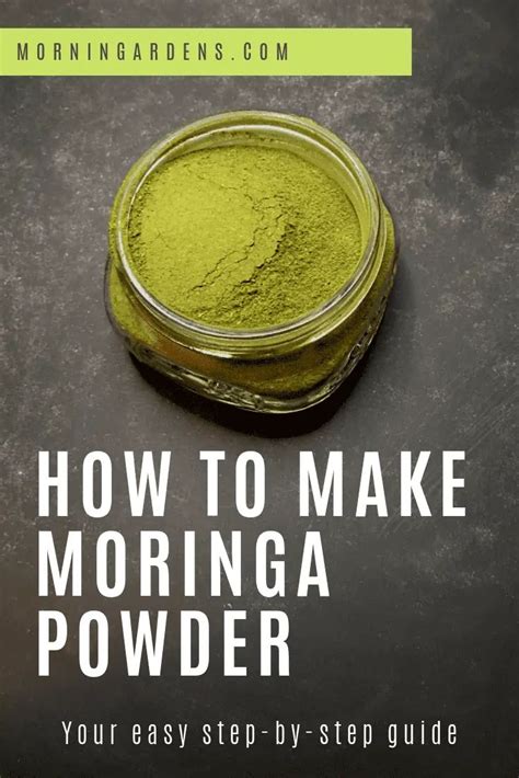 How To Make Moringa Powder The Step Complete Guide Morning Gardens