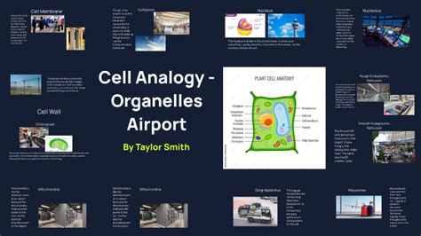 Cell Analogy Organelles By Taylor Smith On Prezi