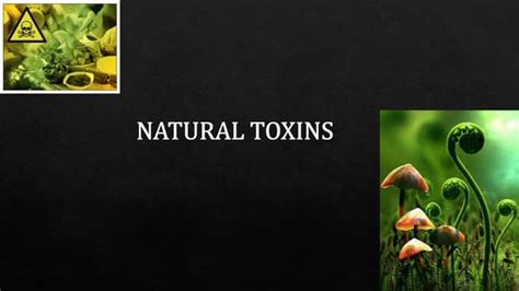 NATURAL TOXINS.pptx