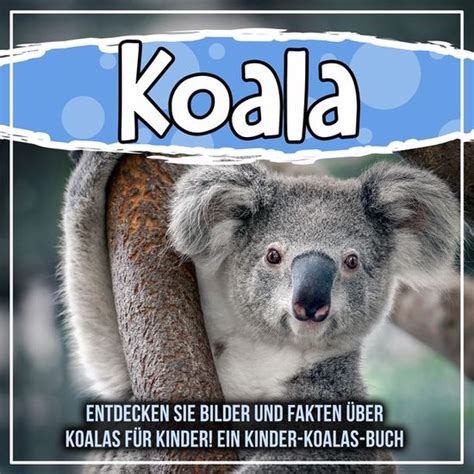 Koala Entdecken Sie Bilder und Fakten über Koalas für Kinder Ein