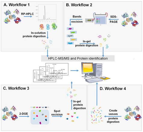 Processes Free Full Text Separation And Analytical Techniques Used