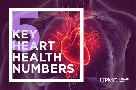 5 Heart Health Numbers You Need To Know Upmc Healthbeat