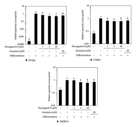 Effect of HNG on the mRNA expression of adipogenic marker genes PPARγ