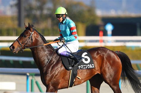 武豊騎手 今週の騎乗馬無敗馬ヤマニンウルスが出走 競馬ニュースなら競馬のおはなし