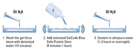 Thermo Scientific™ Gelcode™ Blue Safe Protein Stain Electrophoresis