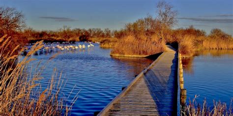 Parc naturel régional de Camargue Provence Alpes Côte d Azur Tourisme