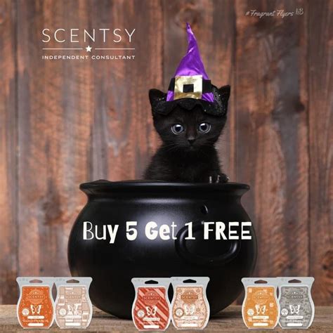 Decorative Scentsy Jar With Black Cat And Witches Hat