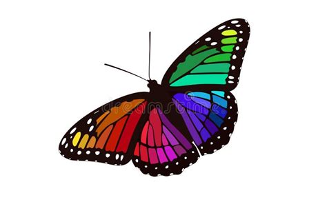 Butterfly rainbow subtle stock illustration. Illustration of branch ...