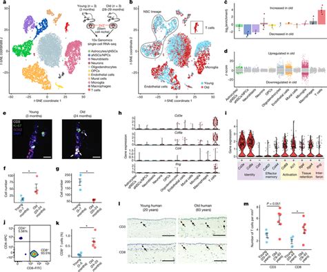 Neuronal And Tumourigenic Boundaries Of Glioblastoma Off