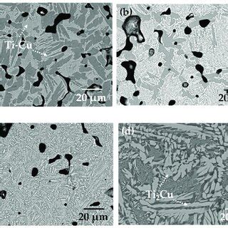 Sem Micrographs Of The Samples Sintered At C A Ti Cu B