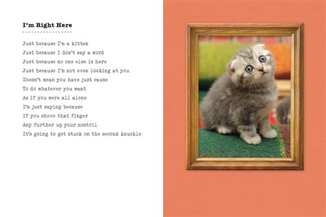 Cat Poems That Rhyme