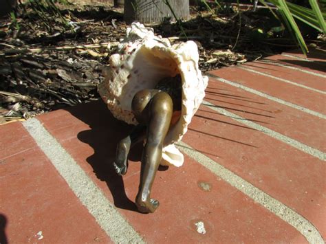 Bronze Sculpture Nude Female Crawling Into Sea Shell Etsy