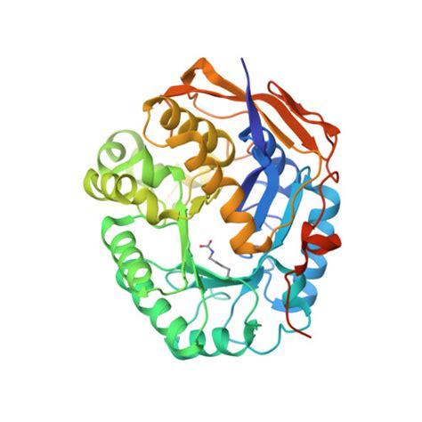 Gene P Protein Cad Overview Cansar Ai