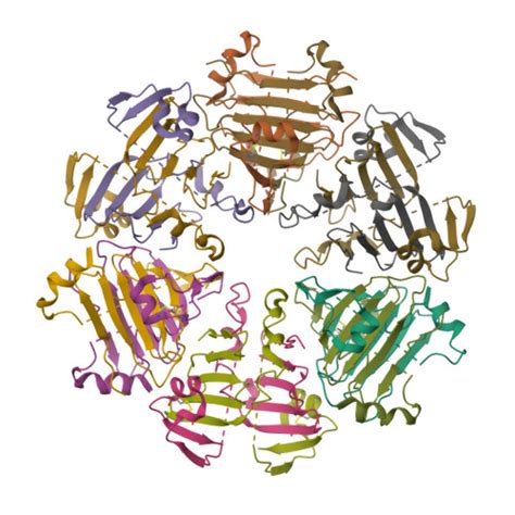 RCSB PDB 8RNU CryoEM Structure Of Recombinant Human Bri2 BRICHOS