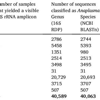 PacBio CCS Sequencing Data Of The 16S RRNA Gene Of Anaplasma Spp From