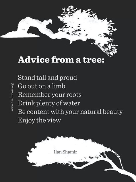 Advice From A Tree Inspirational Words Wonderful Words Clever Quotes