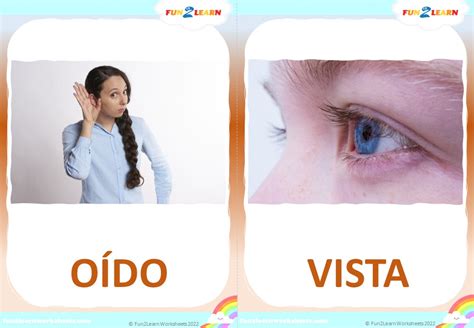 Los Cinco Sentidos Five Senses In Spanish Free Flashcards Fun2Learn