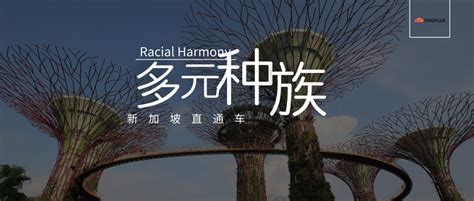 新加坡的文化核心——拥抱种族多元化 知乎