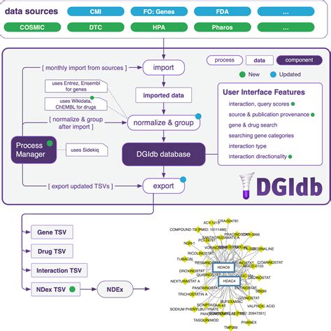 Pdf Integration Of The Druggene Interaction Database Dgidb