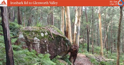 Ironbark Rd To Glenworth Valley Walking Track