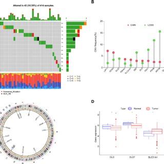 Construction Of The Cuproptosis Related Gene Scores A Using The