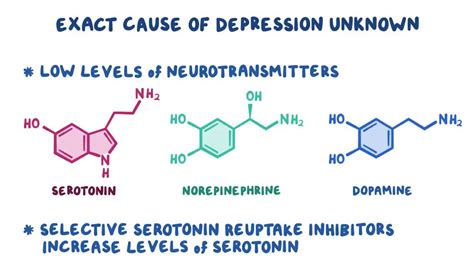 Selective serotonin reuptake inhibitors: Video | Osmosis